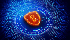 Image of daily feeding service